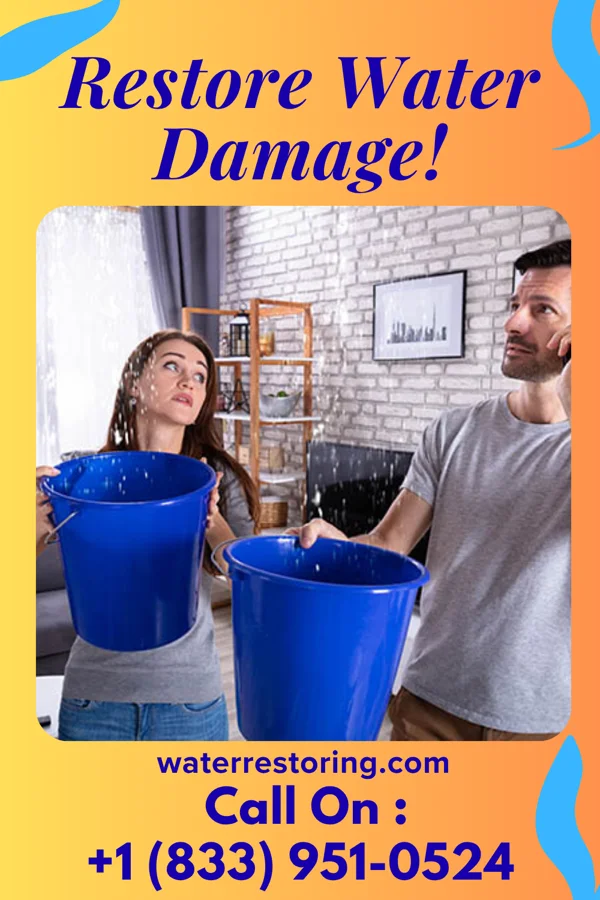 water restoration Zenith Sewage Cleanup Crew Winslow