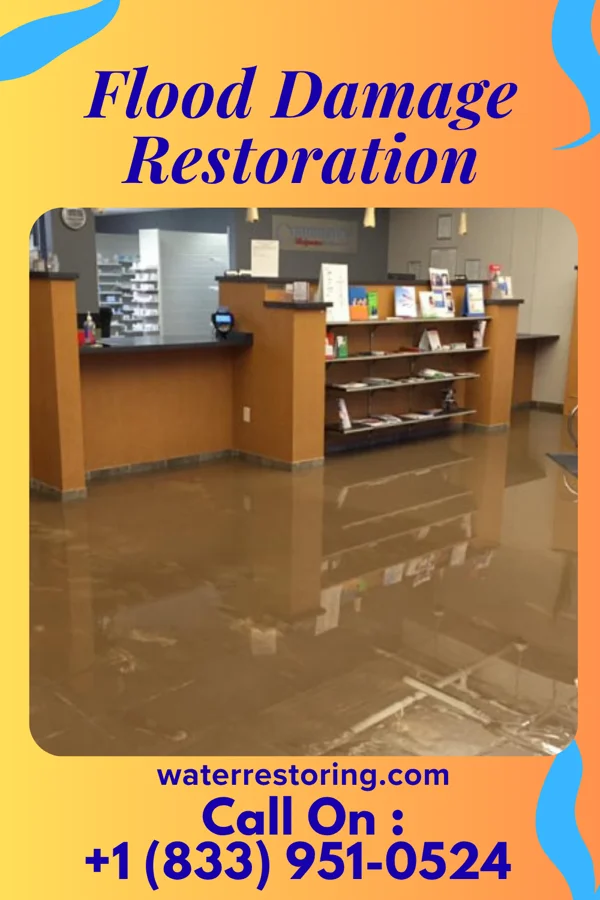 Flood Damage Restoration in Winslow, IL