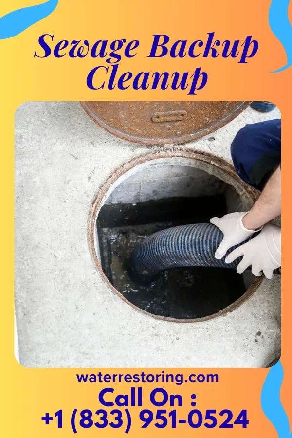 Sewage Backup Cleanup in Winslow, IL